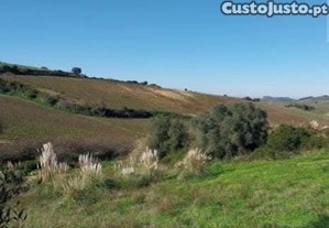 Terreno em Turcifal de 100000,00 m²