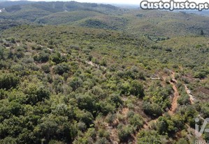 Terreno em Freixianda, Ribeira do Fárrio e Formigais de 15939,00 m²