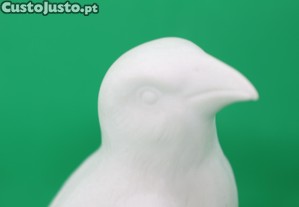 imagem_7