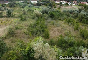 Terreno em Santiago e São Simão de Litém e Albergaria dos Doze de 1150,00 m²