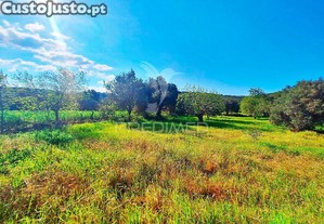 Terreno rustico em loulé com acesso directo