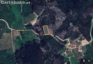 Terreno Agr�cola em Podentes