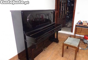 imagem_1