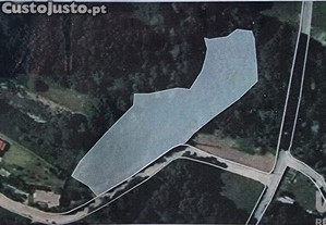 Terreno em Moledo e Cristelo de 4950,00 m