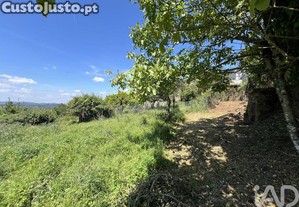 imagem_8