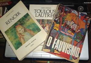 3 livros de arte, Toulouse-Lautrec, Renoir e o Fauvismo