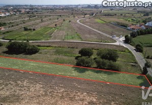 Terreno Agrícola em Cacia