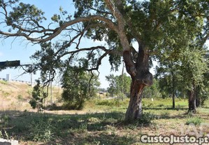 Terreno para constru��o em Amor de 2619,00 m�