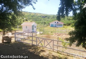 Terreno em Oliveira do Hospital e S�o Paio de Grama�os