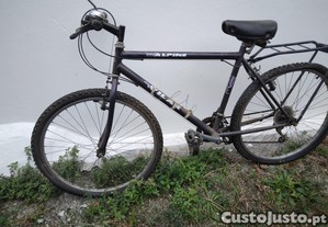 Bicicleta Vintage