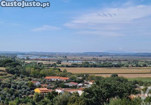 Terreno em Chamusca e Pinheiro Grande de 712,00 m�