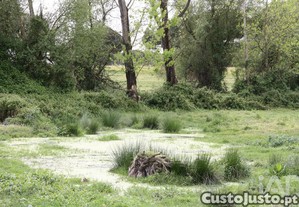 Terreno para construção T8 em Poceirão e Marateca de 19000,00 m²