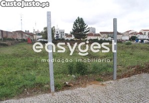 imagem_1