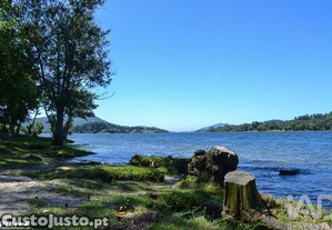 imagem_7