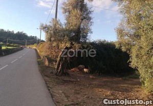Terreno Agrícola Com 6.650 M2 Em...