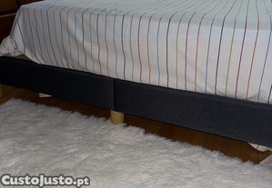 imagem_5