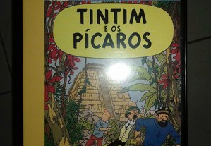 imagem_5