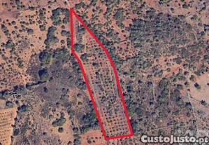 Terreno Agrícola em Silves