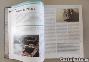 imagem_7