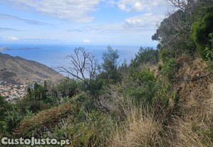 Terreno em �gua de Pena de 10100,00 m�