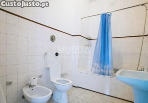 imagem_11