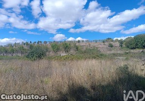 Terreno Agrícola em Azinhoso de 2874,00 m²
