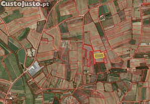 Terreno em Atouguia da Baleia de 4400,00 m