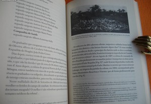 imagem_7