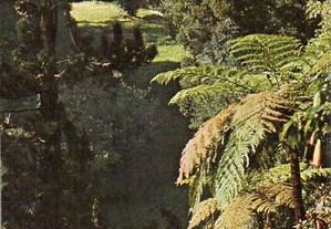 Sintra - guia turístico (1969)
