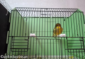 imagem_6