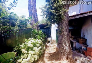 imagem_25