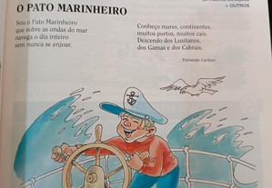 imagem_2