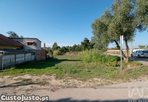 Terreno Agrícola em Amor