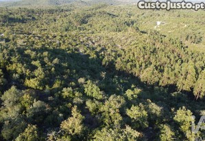 Terreno em Chãos de 14600,00 m²