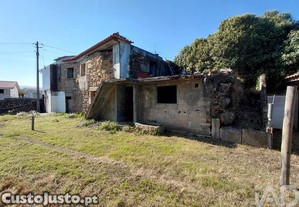 imagem_19