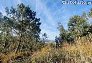 imagem_13