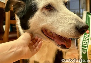 imagem_7