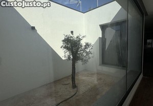 imagem_11