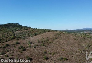 Terreno em Chãos de 33440,00 m²