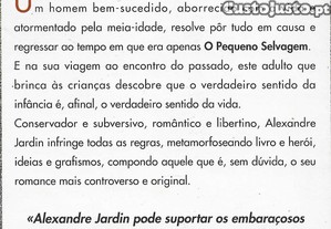 imagem_4