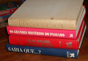 imagem_2