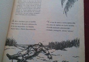 imagem_4