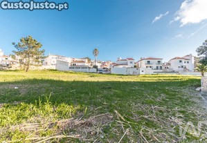 Terreno Agrcola em Nazar