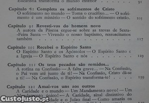 imagem_8