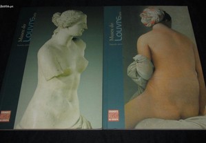 Livro Museu do Louvre Grandes Museus da Europa DVD