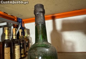 imagem_3
