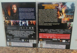 imagem_8