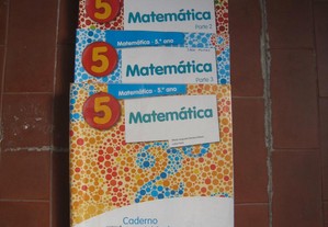 imagem_3