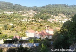 imagem_15