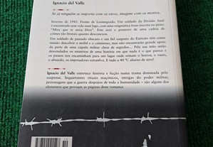imagem_2